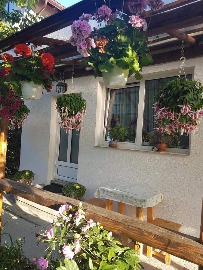 Casa Farcas 부스테니 외부 사진
