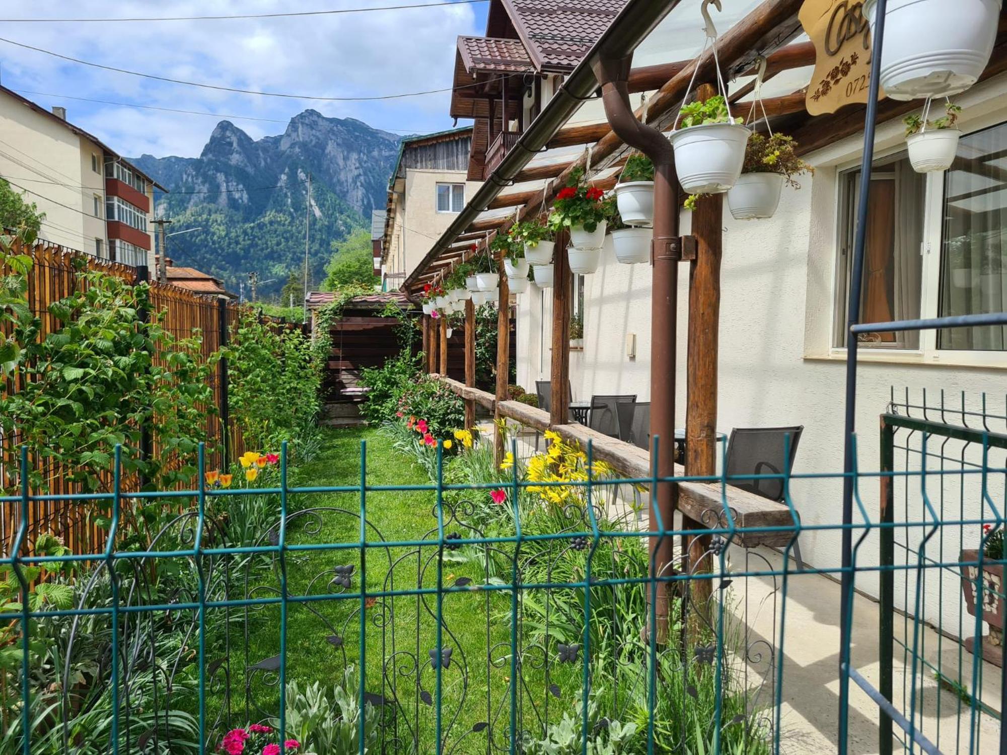 Casa Farcas 부스테니 외부 사진