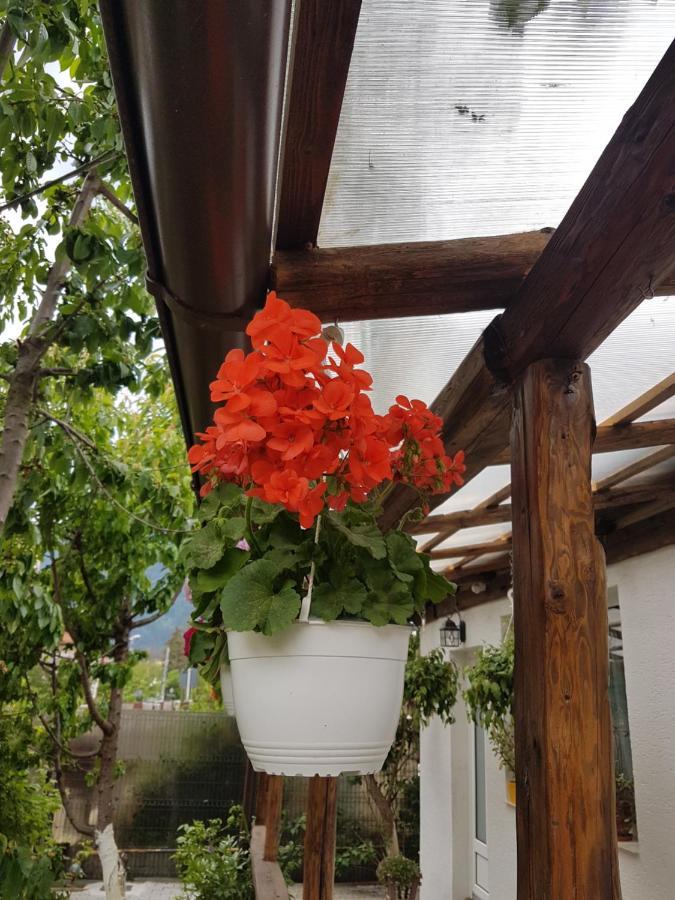 Casa Farcas 부스테니 외부 사진