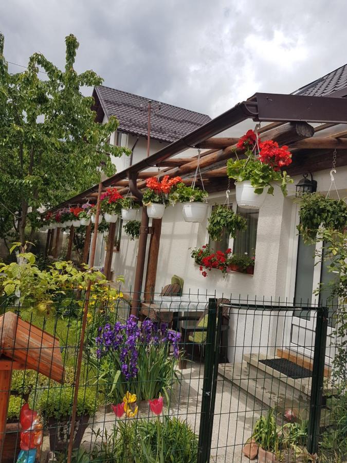Casa Farcas 부스테니 외부 사진